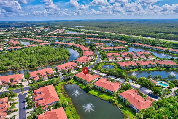 a view of a swimming pool with a yard and palm trees