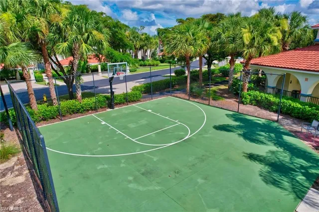 a view of a garden with palm trees