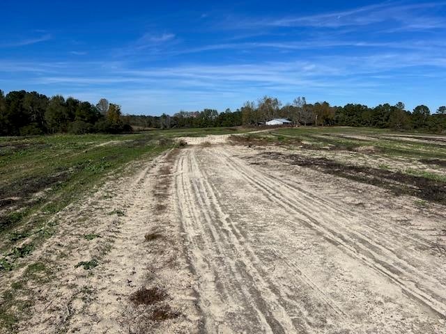 26230 Hub Brown Road Opp, AL 36467 - Photo 14 of 27 Gallery Image 14