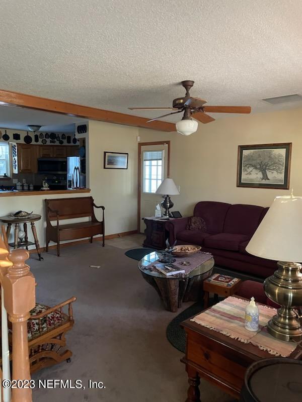 4350 Hall And Boree Road Middleburg, FL 32068 - Photo 8 of 25 4350 hall boree living 2