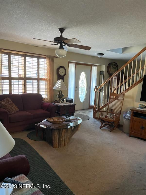 4350 Hall And Boree Road Middleburg, FL 32068 - Photo 9 of 25 4350 hall boree living