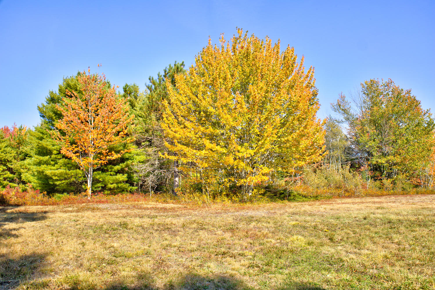 80 Town House Road Brooksville, ME 04617 - Photo 51 of 57 4