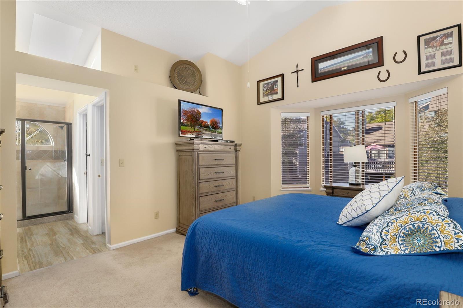 9315 Windsor Way Highlands Ranch, CO 80126 - Photo 19 of 35 Gallery Image 19