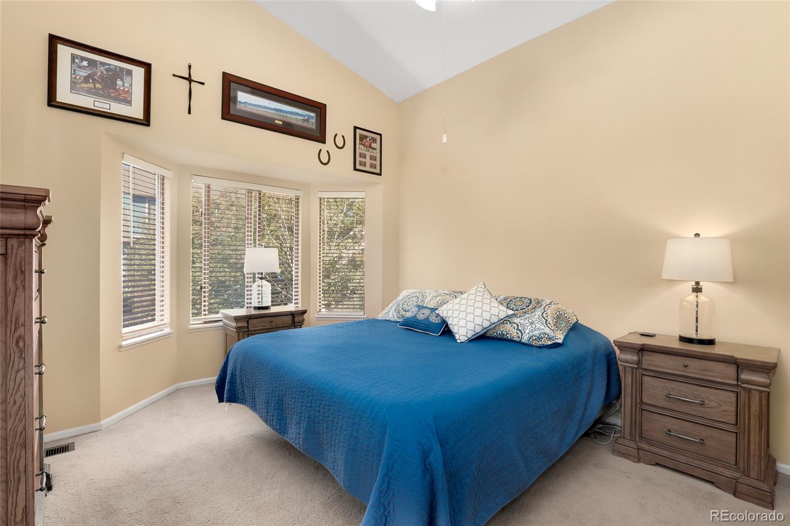 9315 Windsor Way Highlands Ranch, CO 80126 - Photo 20 of 35 Gallery Image 20