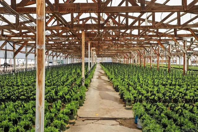 $589,900 | Cassou Road, San Marcos, CA 92069