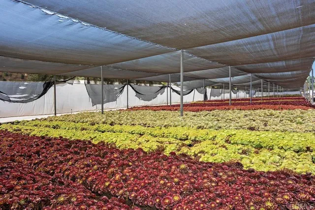 $589,900 | Cassou Road, San Marcos, CA 92069