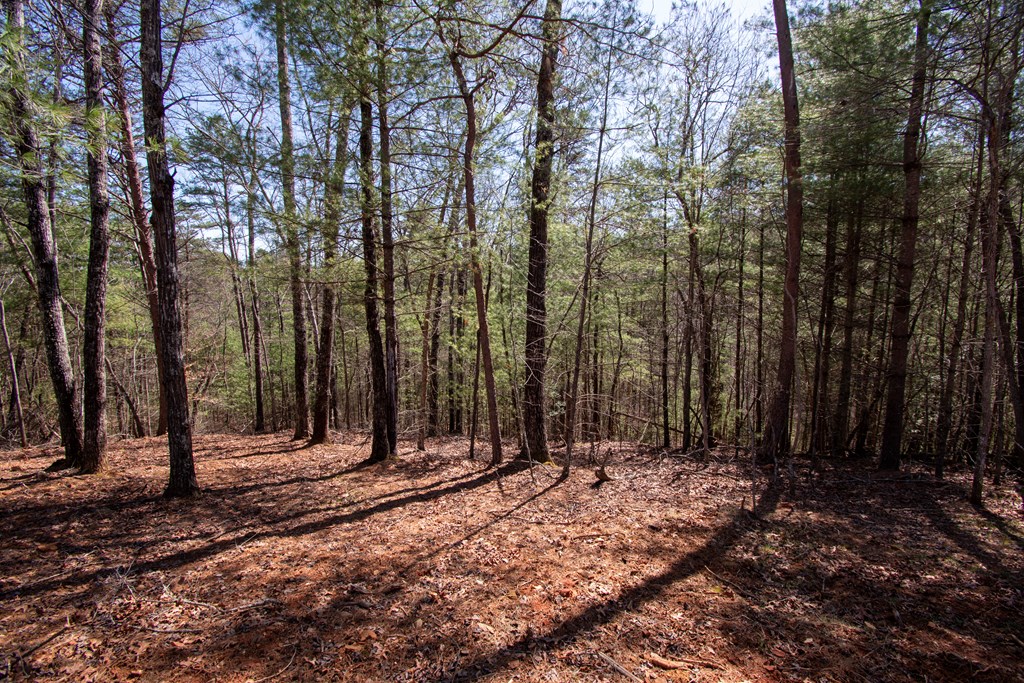 1456 Orton Road Murphy, NC 28906 - Photo 9 of 14