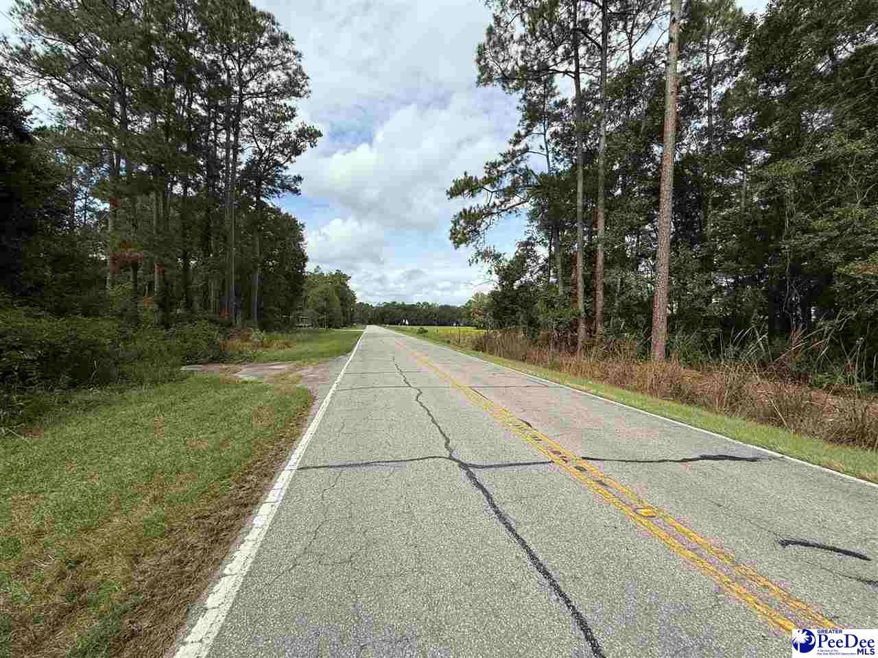 Hemingway Highway Nesmith, SC 29580 - Photo 5 of 5 Gallery Image 5