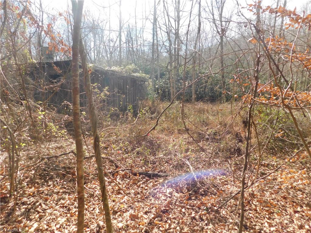 0 Floyd Mayes Road Dobson, NC 27017 - Photo 11 of 27 Gallery Image 11