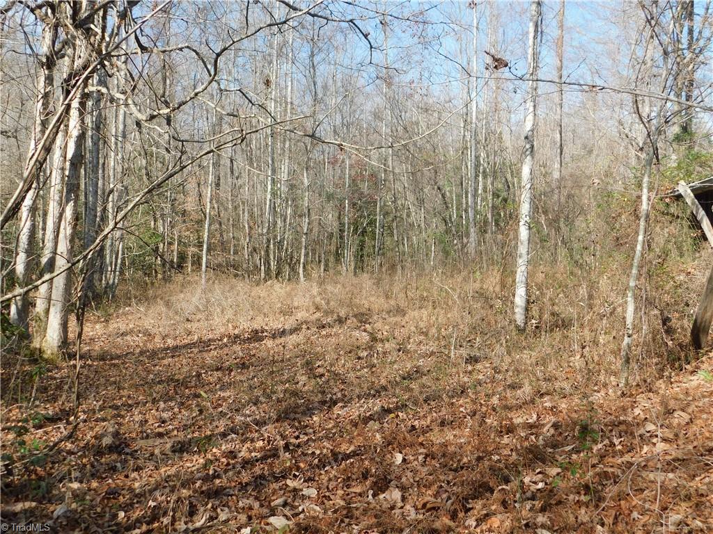 0 Floyd Mayes Road Dobson, NC 27017 - Photo 12 of 27 Gallery Image 12