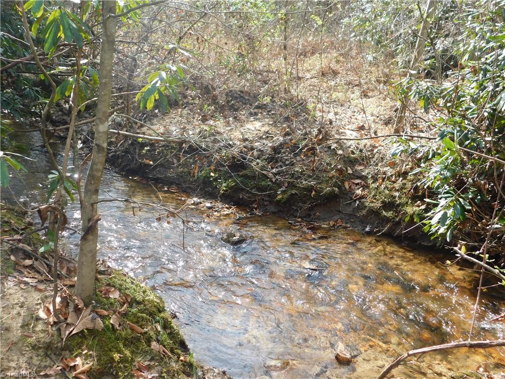 0 Floyd Mayes Road Dobson, NC 27017 - Photo 13 of 27 Gallery Image 13