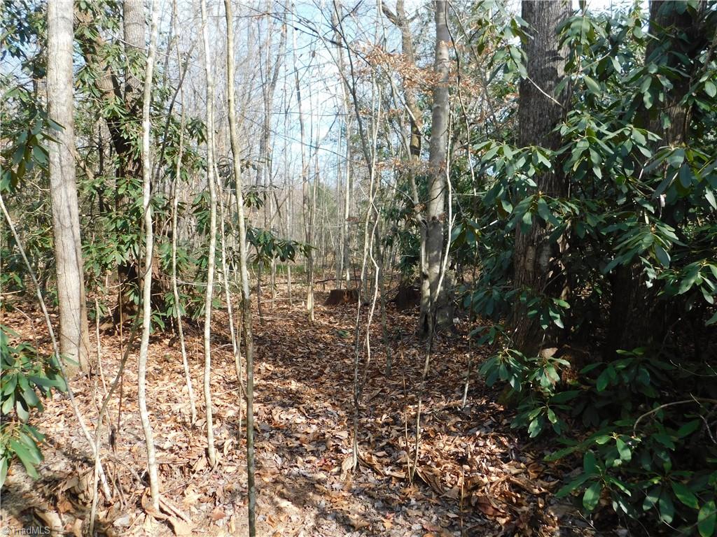 0 Floyd Mayes Road Dobson, NC 27017 - Photo 16 of 27 Gallery Image 16