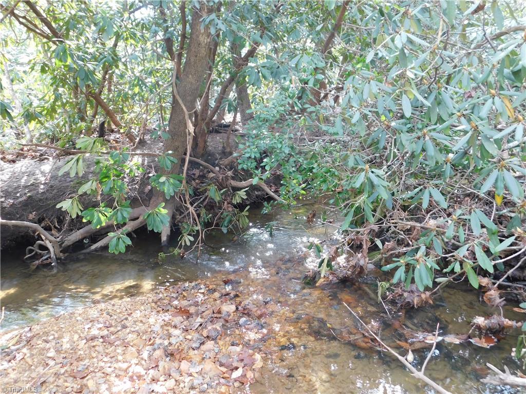 0 Floyd Mayes Road Dobson, NC 27017 - Photo 17 of 27 Gallery Image 17