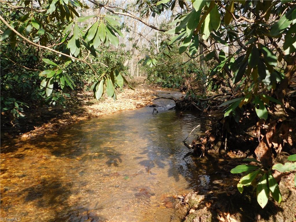 0 Floyd Mayes Road Dobson, NC 27017 - Photo 18 of 27 Gallery Image 18