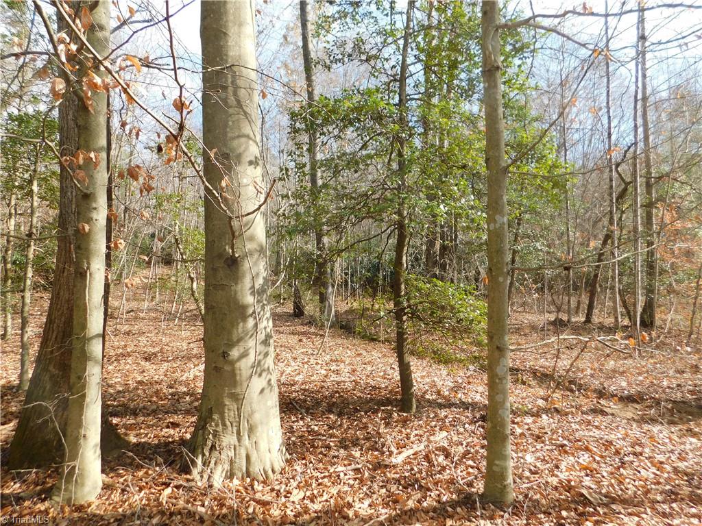 0 Floyd Mayes Road Dobson, NC 27017 - Photo 20 of 27 Gallery Image 20