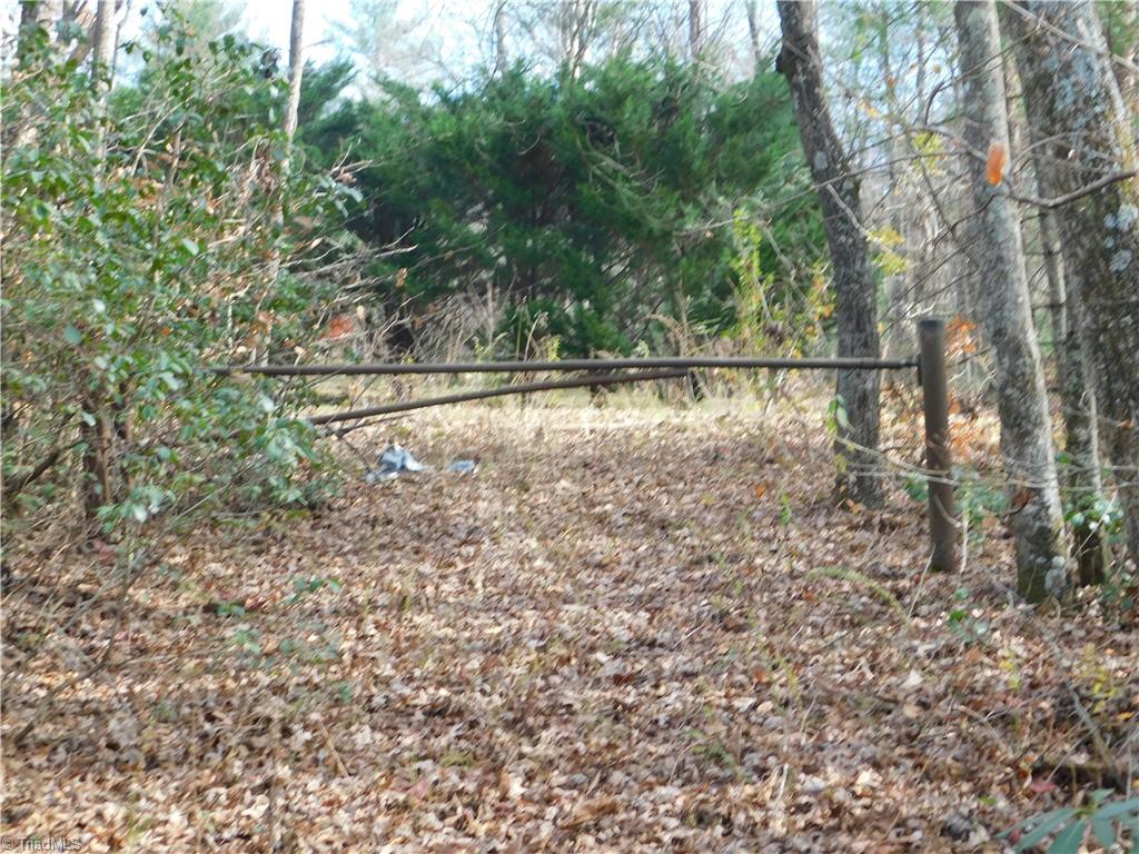0 Floyd Mayes Road Dobson, NC 27017 - Photo 3 of 27 Gallery Image 3