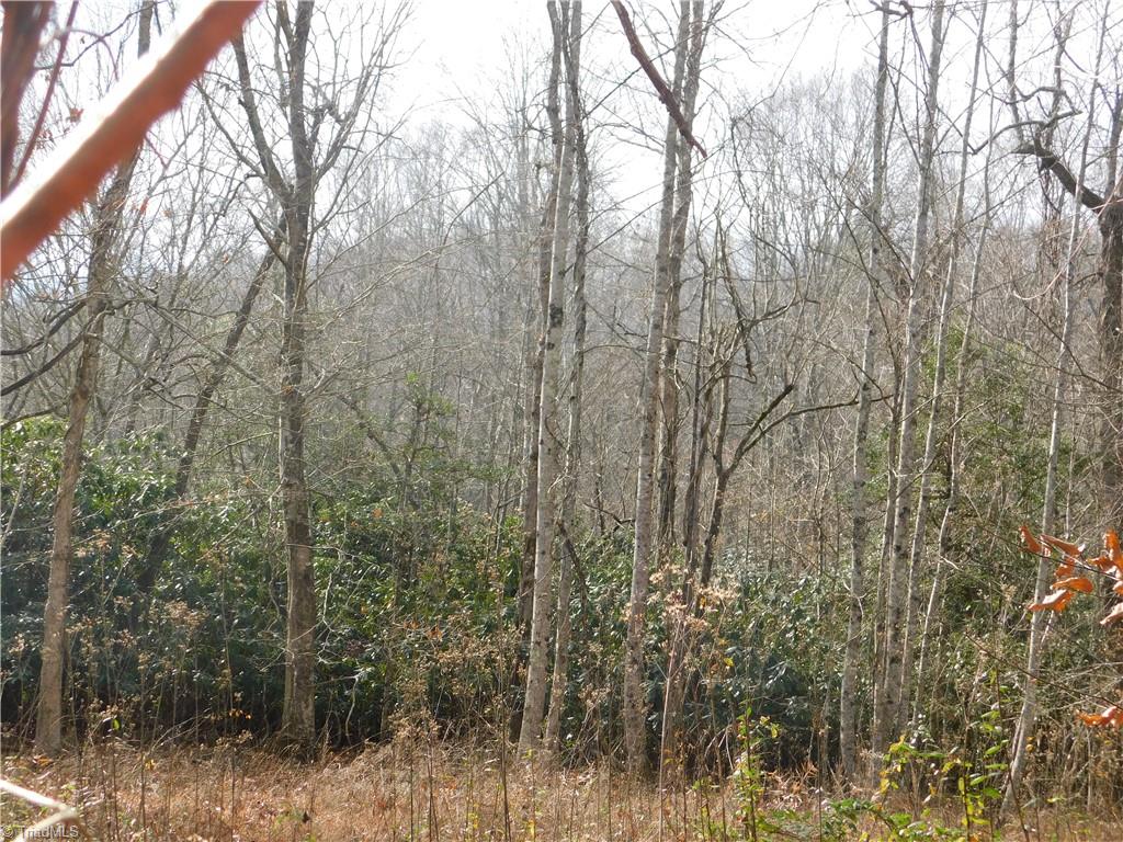0 Floyd Mayes Road Dobson, NC 27017 - Photo 21 of 27 Gallery Image 21