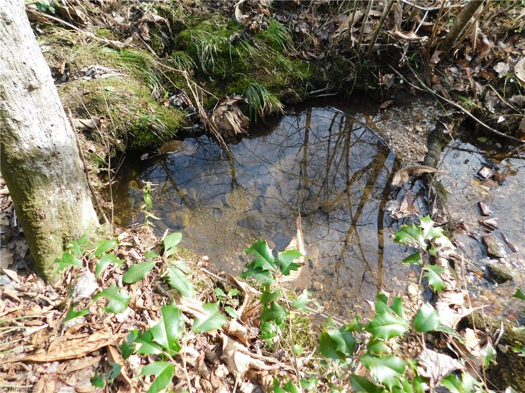 0 Floyd Mayes Road Dobson, NC 27017 - Photo 22 of 27 Gallery Image 22