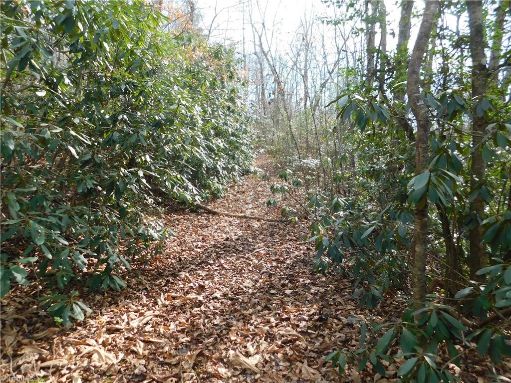 0 Floyd Mayes Road Dobson, NC 27017 - Photo 23 of 27 Gallery Image 23