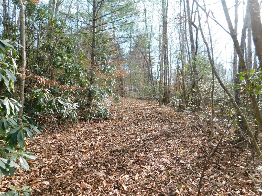 0 Floyd Mayes Road Dobson, NC 27017 - Photo 24 of 27 Gallery Image 24