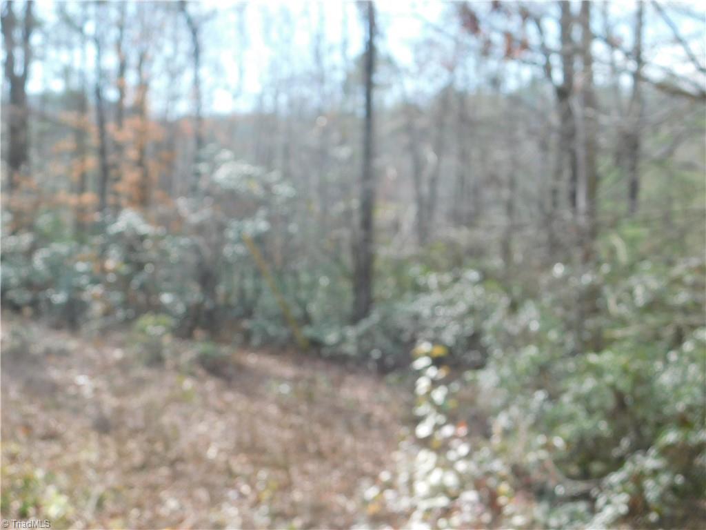 0 Floyd Mayes Road Dobson, NC 27017 - Photo 25 of 27 Gallery Image 25