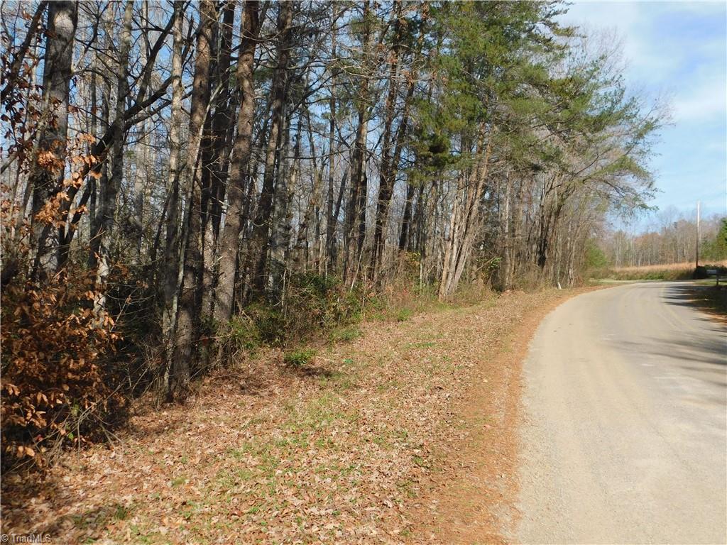 0 Floyd Mayes Road Dobson, NC 27017 - Photo 4 of 27 Gallery Image 4