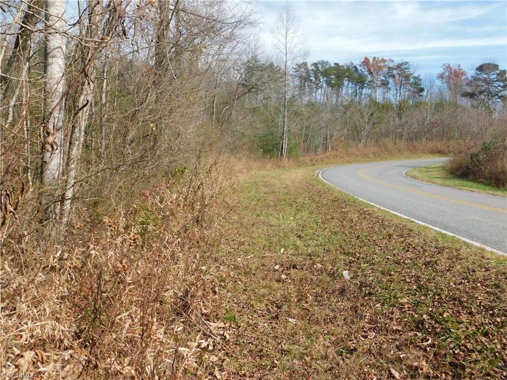 0 Floyd Mayes Road Dobson, NC 27017 - Photo 6 of 27 Gallery Image 6