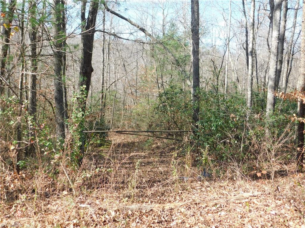 0 Floyd Mayes Road Dobson, NC 27017 - Photo 7 of 27 Gallery Image 7