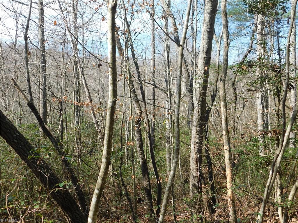 0 Floyd Mayes Road Dobson, NC 27017 - Photo 8 of 27 Gallery Image 8