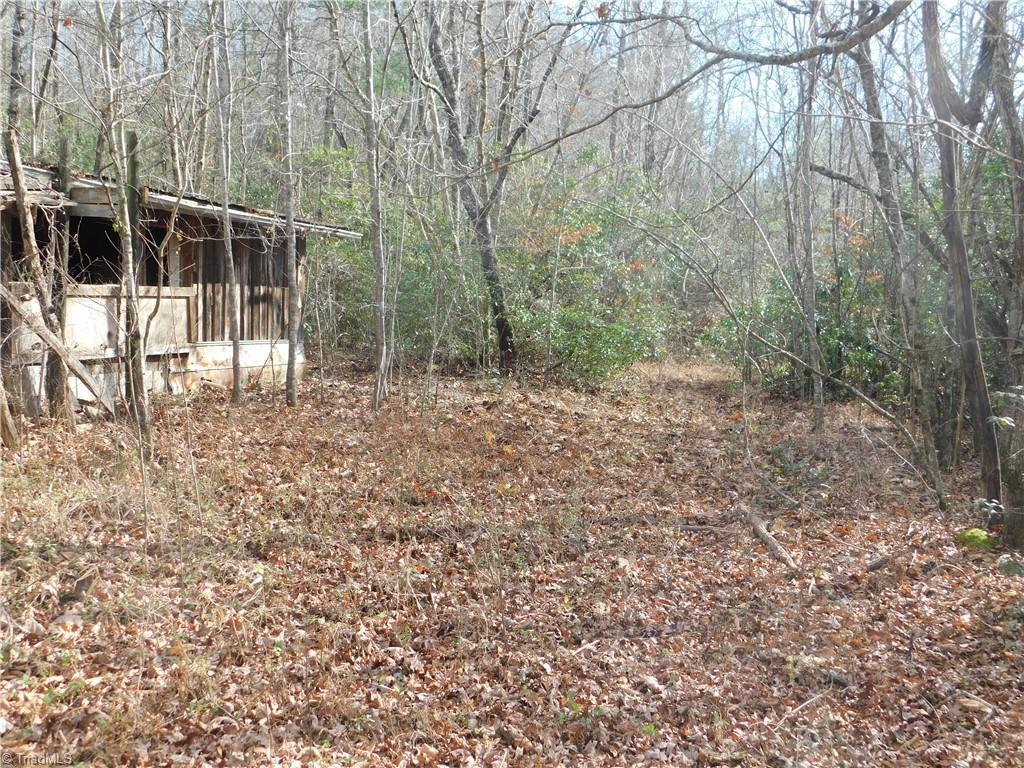0 Floyd Mayes Road Dobson, NC 27017 - Photo 10 of 27 Gallery Image 10