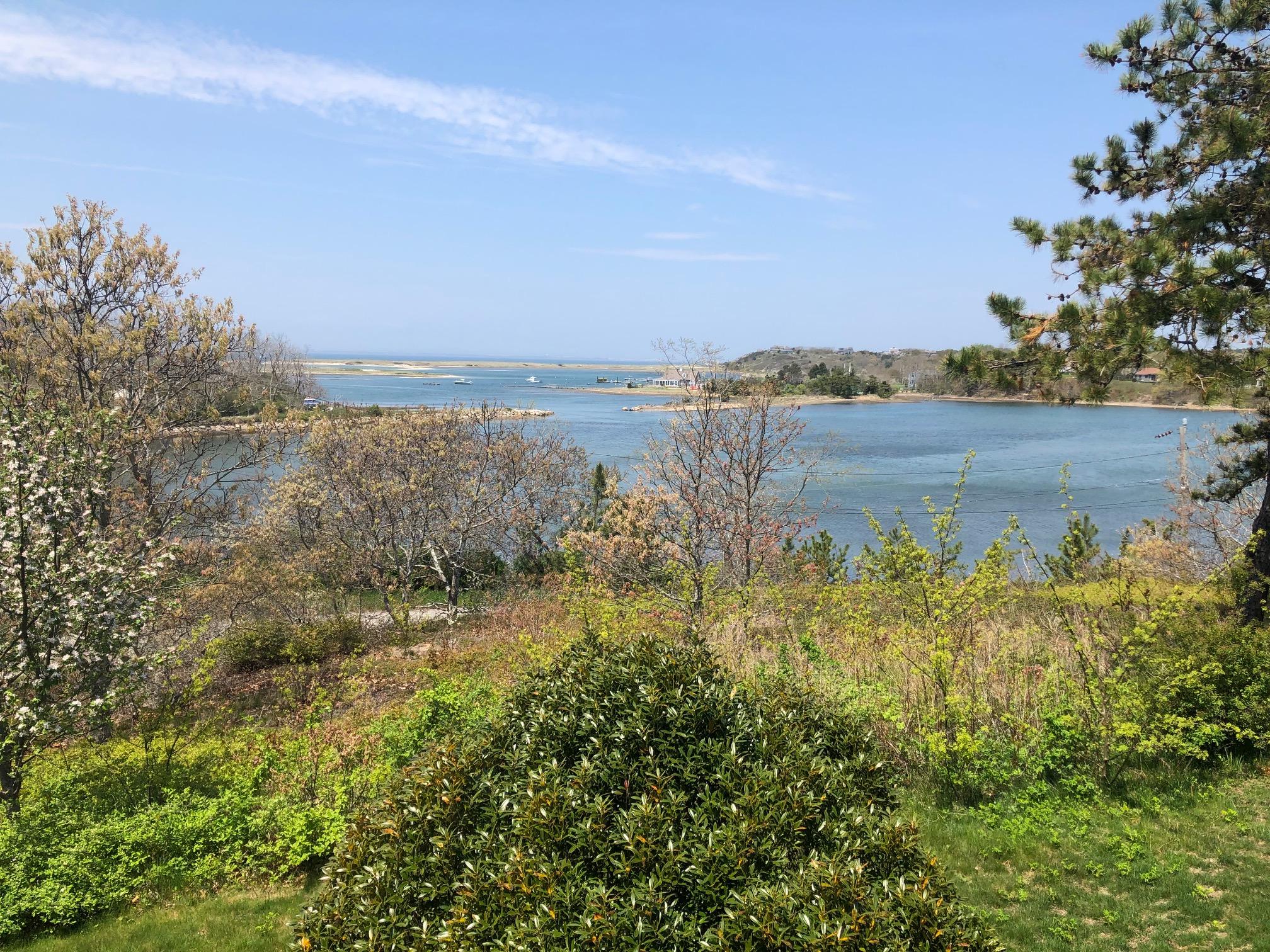 15 Mill Pond Road Truro, MA 02666 - Photo 3 of 13 a view of lake with mountain in background