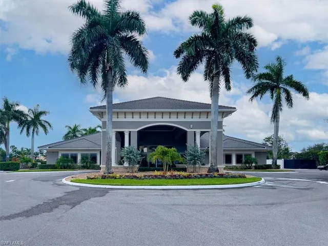 a view of a lake with a palm tree