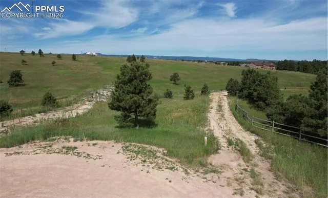 a view of lake with lots of trees