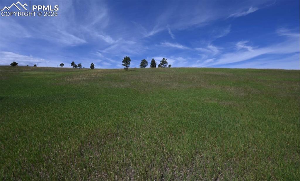 16635 Dancing Wolf Way Colorado Springs, CO 80908 - Photo 20 of 29 a view of a big yard