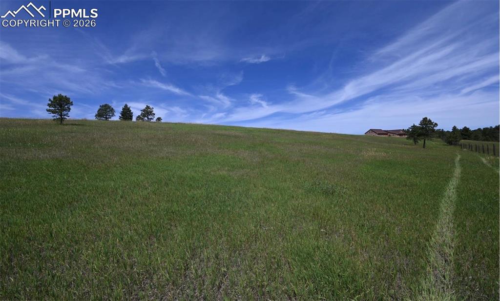 16635 Dancing Wolf Way Colorado Springs, CO 80908 - Photo 21 of 29 a view of a big yard