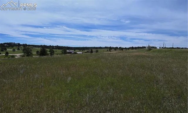 a view of a big yard of a house with a yard