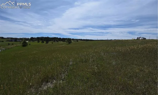 a view of a field with an trees