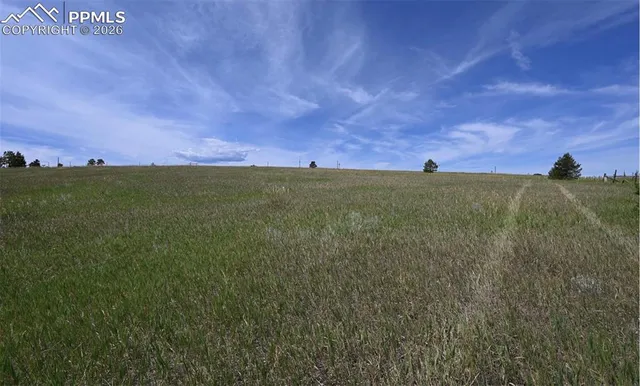 a view of a field with an ocean