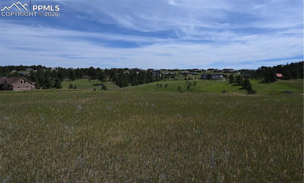 16635 Dancing Wolf Way Colorado Springs, CO 80908 - Photo 25 of 29 a view of a field with an trees