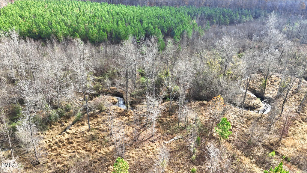 Lot 1 Hurdle Mills Road Roxboro, NC 27574 - Photo 4 of 10 a view of a yard with a tree