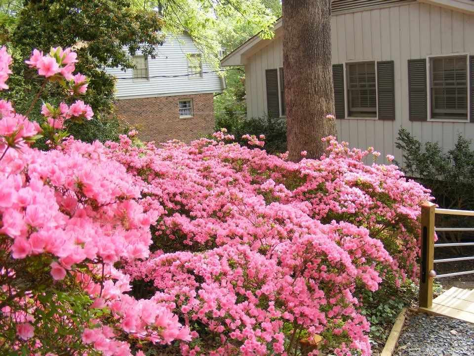 4605 Oak Park Road Raleigh, NC 27612 - Photo 2 of 25 Photo 2
