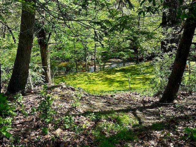 172 Firehouse Road Fairmont, WV 26554 - Photo 48 of 50 Gallery Image 48
