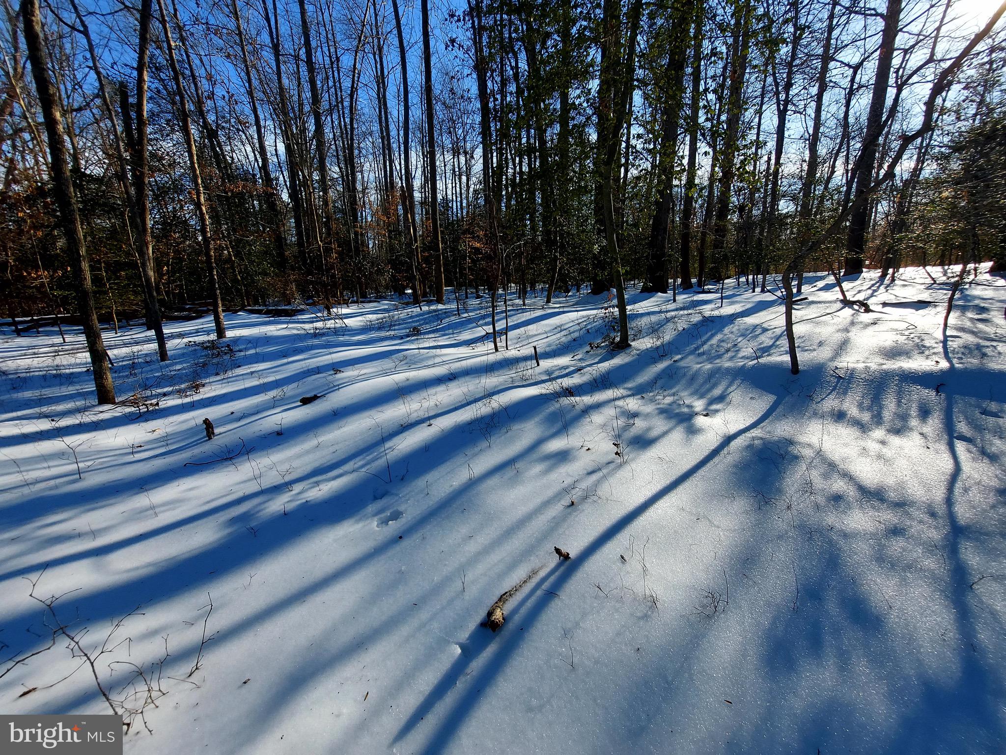 2577 Rutland Road Davidsonville, MD 21035 - Photo 2 of 12 a view of a park with trees