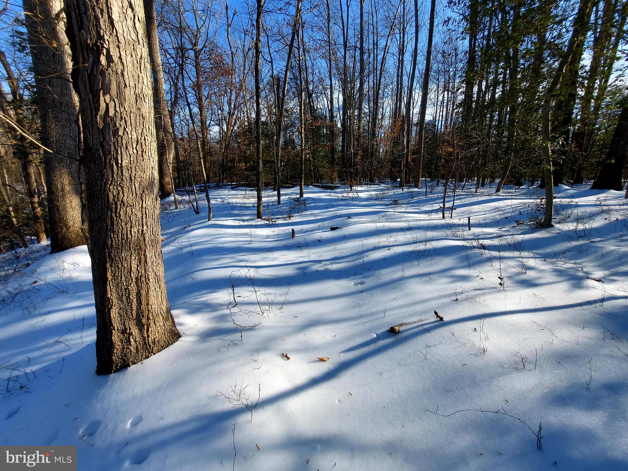 2577 Rutland Road Davidsonville, MD 21035 - Photo 3 of 12 a view of a park with large trees
