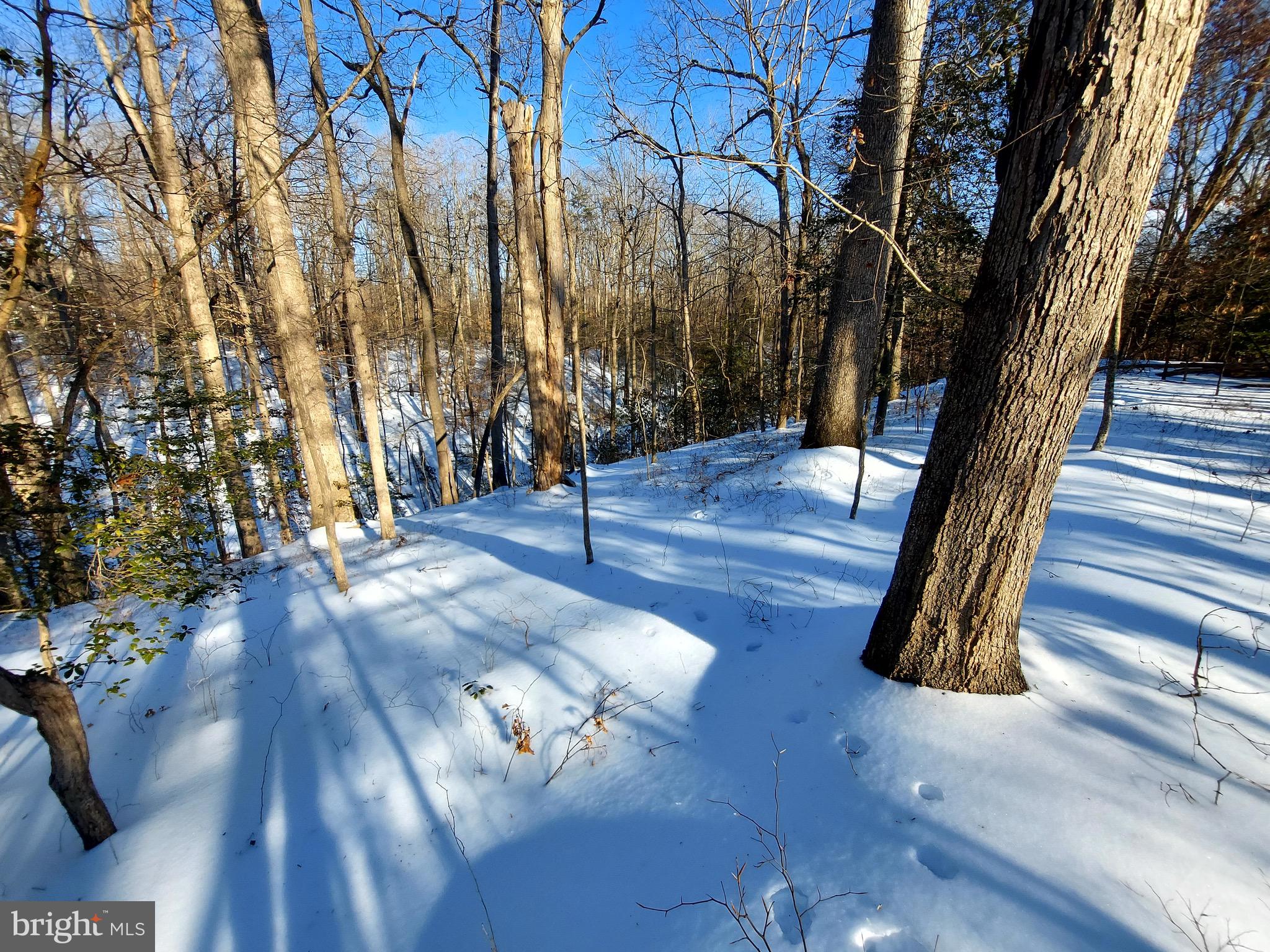 2577 Rutland Road Davidsonville, MD 21035 - Photo 4 of 12 a view of outdoor space and wooden floor