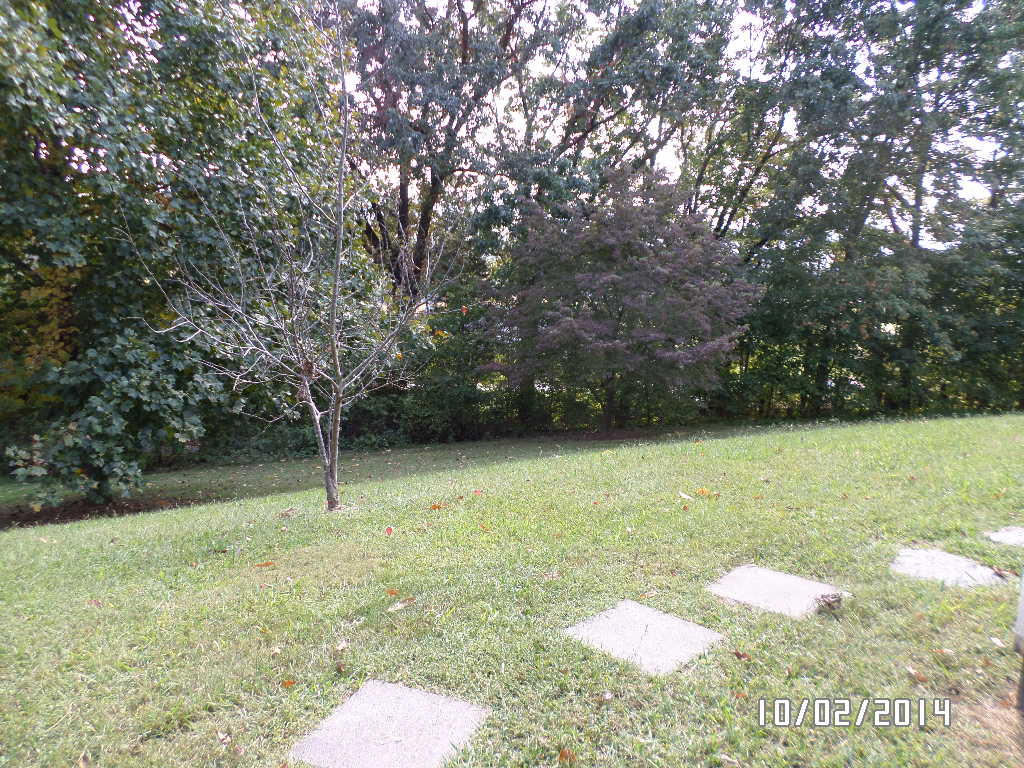 405 Barker Road New Tazewell, TN 37825 - Photo 3 of 22 front yard 1