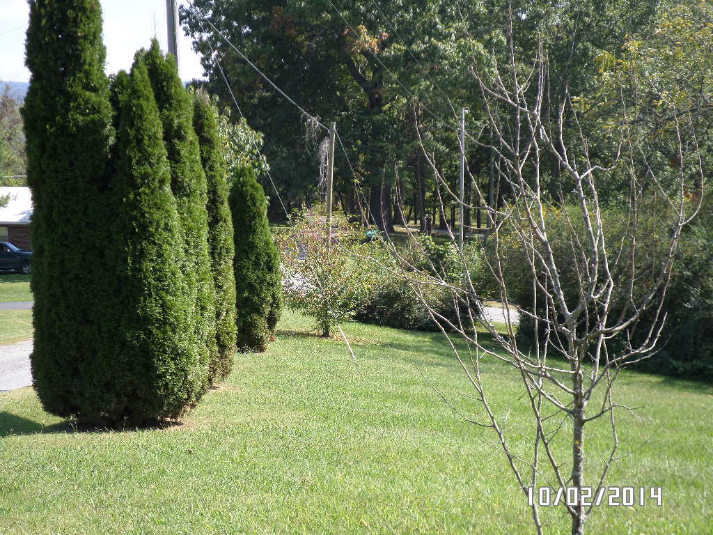 405 Barker Road New Tazewell, TN 37825 - Photo 21 of 22 road side