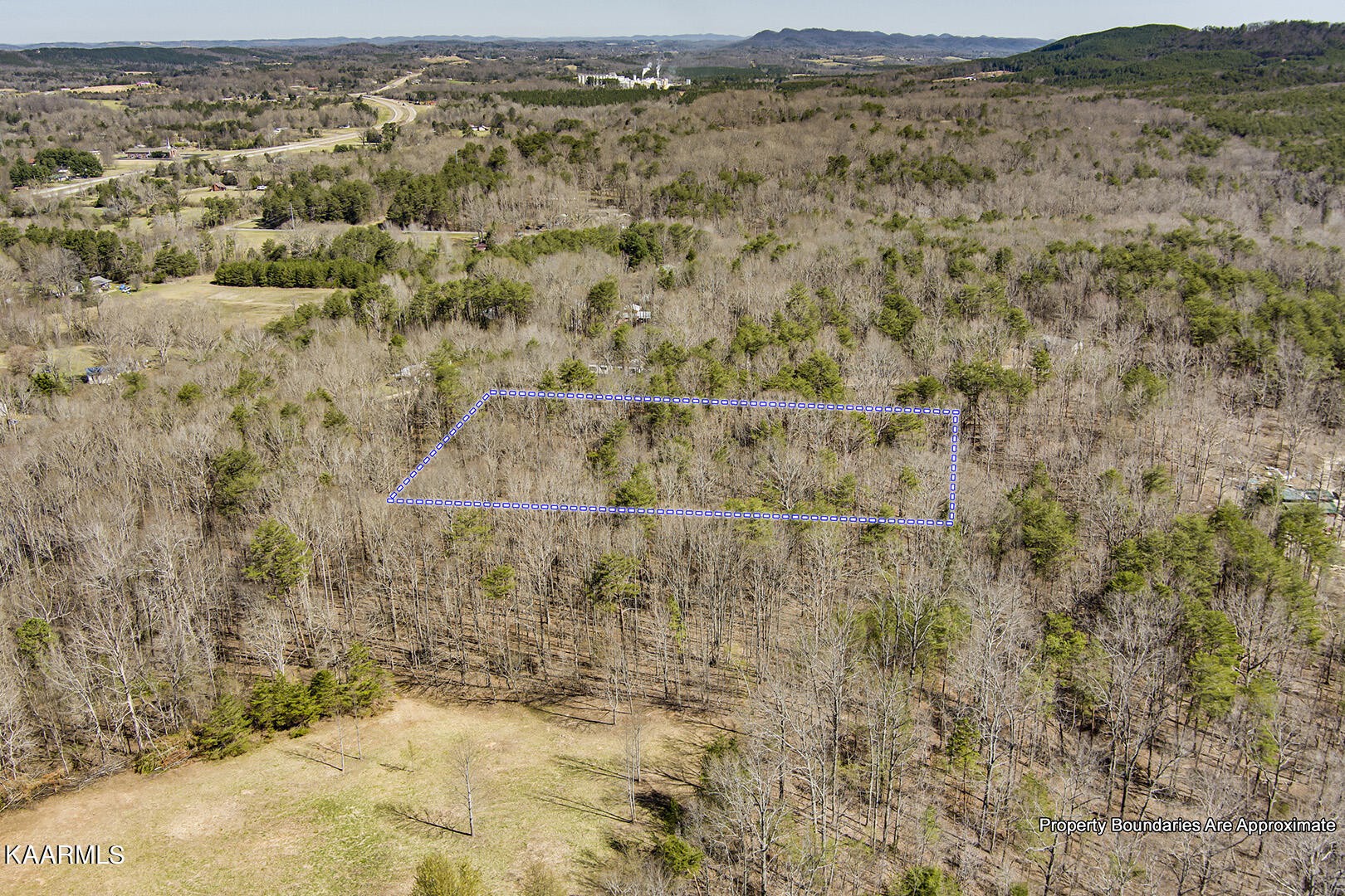 0 Wilcox Lane Delano, TN 37325 - Photo 12 of 14