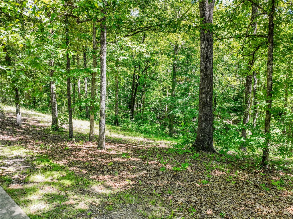 164 Wild Azalea Point Seneca, SC 29672 - Photo 29 of 31