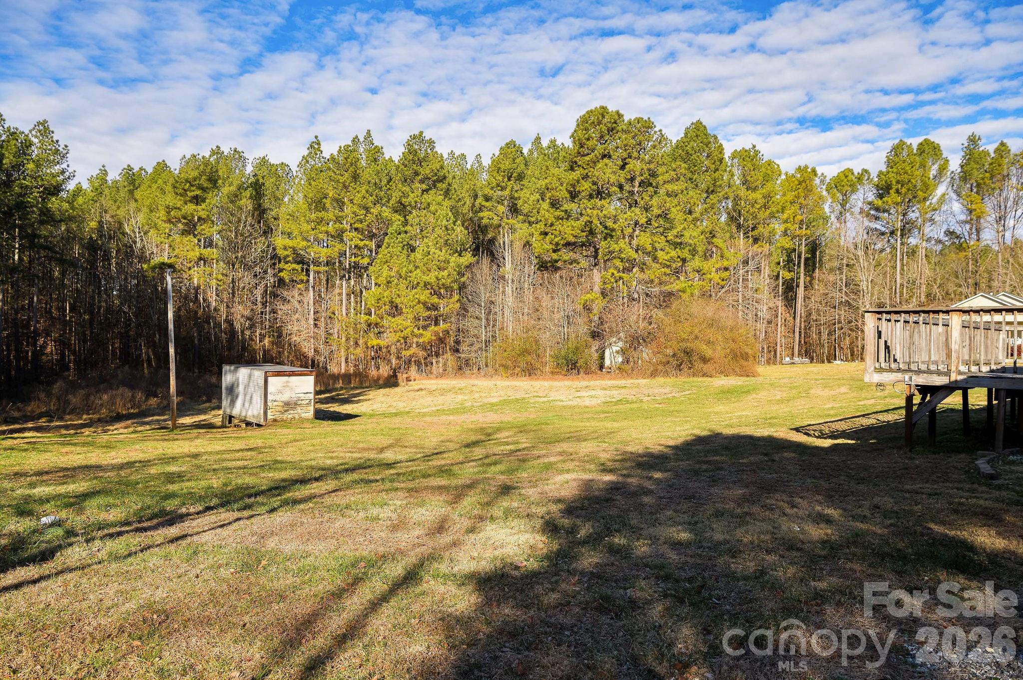 876 Mr Henry Road Mocksville, NC 27028 - Photo 33 of 41